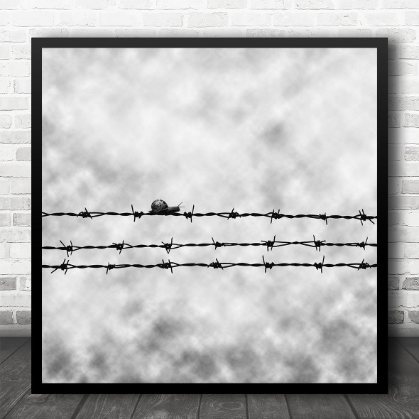 Grey Gloomy Sky Barbed Wire Slow Snail Square Wall Art Print