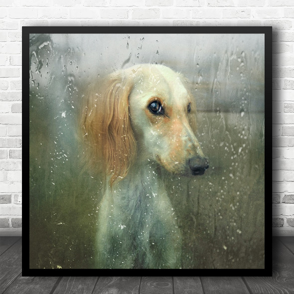 Autumn Rain Dog Behind Glass Portrait Square Wall Art Print