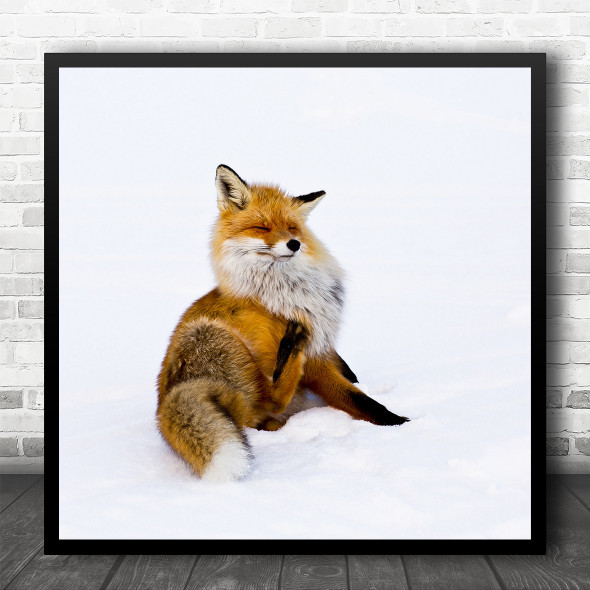 Fox Animal Wildlife Wild Nature Snowy Square Wall Art Print