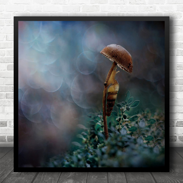 Bokeh Up Close Snail Mushroom Home Square Wall Art Print