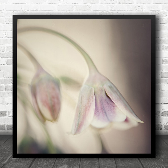 Macro Flower Flowers Tulip Tulips Bokeh Pink Blur Blurry Soft Square Art Print
