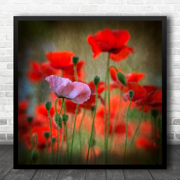 Poppy Pink Red Square Flower Floral Romance Summer Romantic Square Art Print