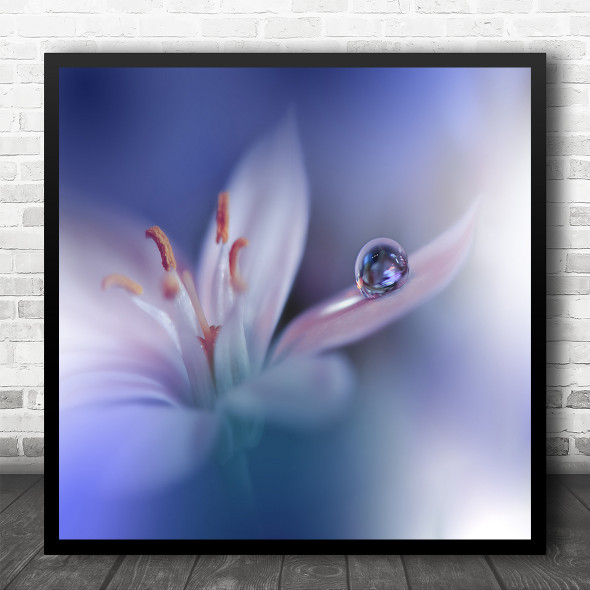 Blue Closeup Flower Macro Water Droplet Soft Blur Square Wall Art Print