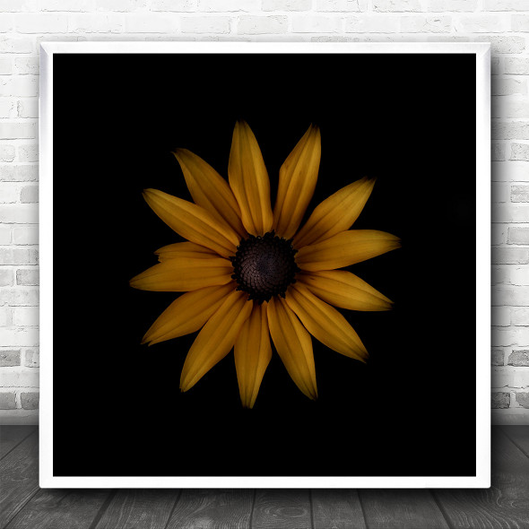 Flower Golden Orange Yellow Dark Macro Still Life Square Wall Art Print