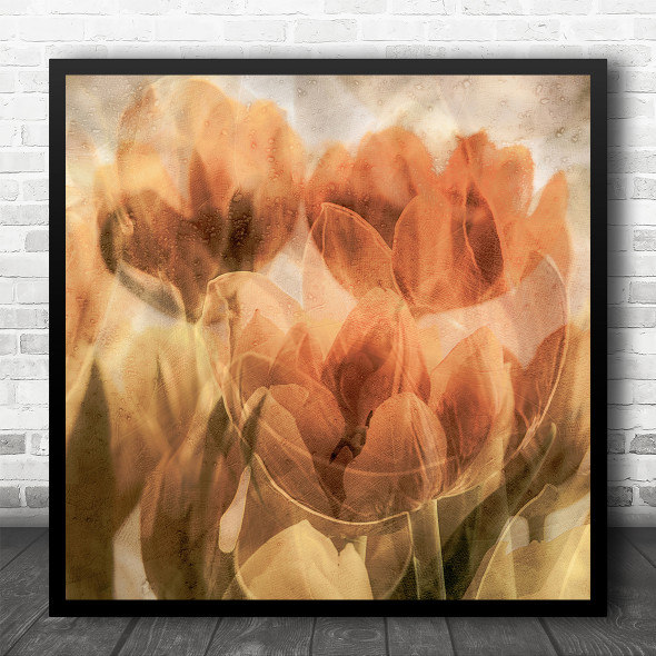 Multiple Exposure Orange Tulips Macro Flowers Square Wall Art Print