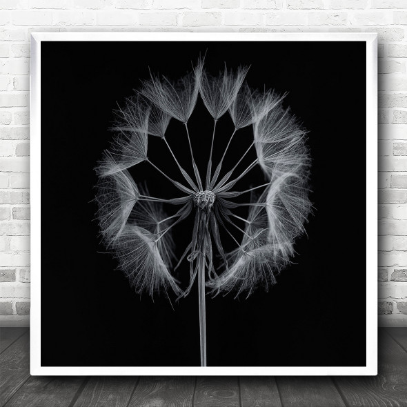 Monochrome Graphic B&W Flower Dandelion Square Wall Art Print