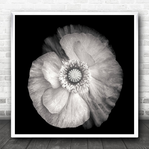 Black And White Poppy Close Up X-Ray Square Wall Art Print