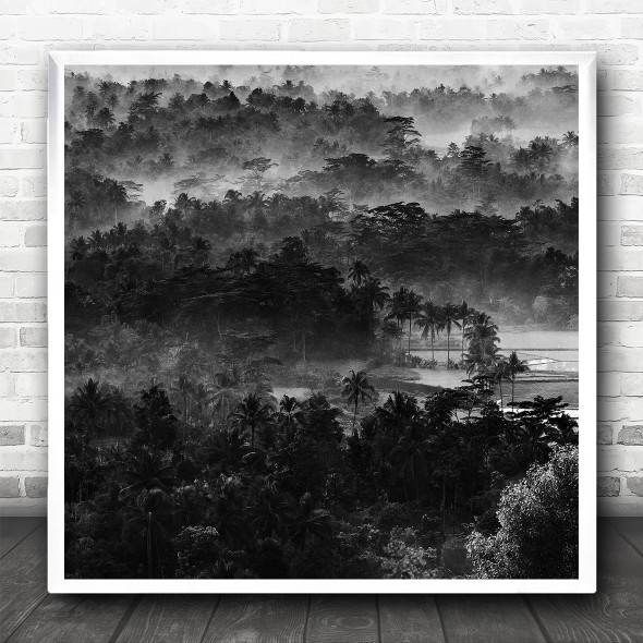 Palm Trees Jungle Forest B&W Atmosphere Mist Haze Fog Landscape Square Art Print