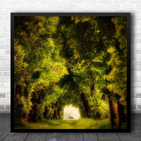 Poland Landscape Trees Green Foliage Lush Summer Tunnel Forest Square Art Print