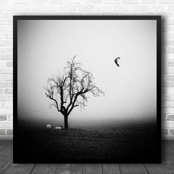 Bird Lonely Tree Alone B&W Sheep Animals Field Farm Farming Square Art Print