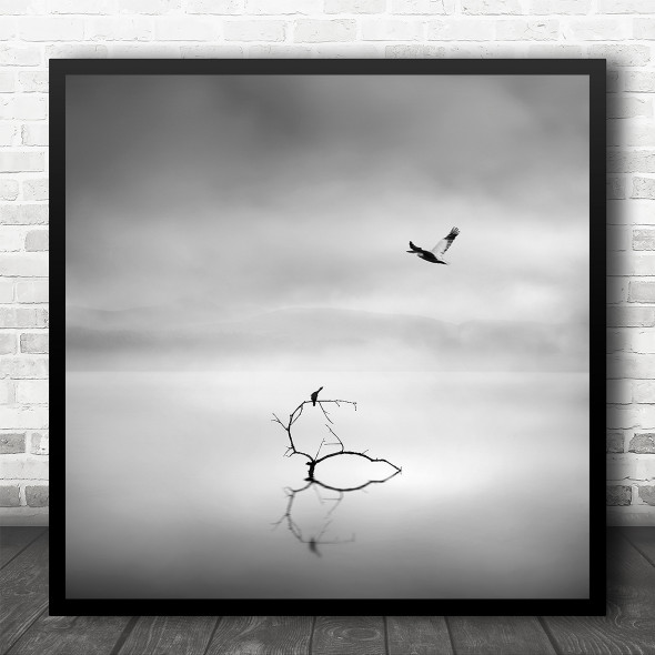 Fine Art Black White Lake Birds Meeting Calm Lake Square Wall Art Print