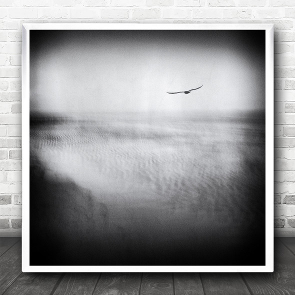 Long Exposure Black And White Seacoast Seagull Square Wall Art Print