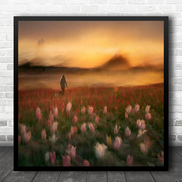 Tulips Flower field Woman Dog Walk Sunset Square Wall Art Print