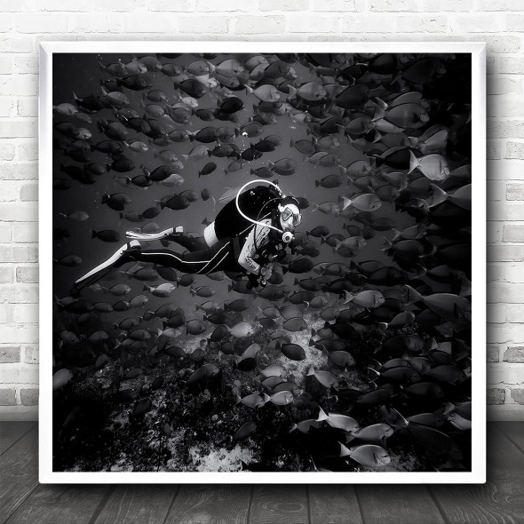 Still Life Scuba Diver School Of Fish Square Wall Art Print