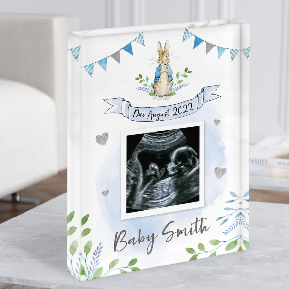 Peter Rabbit Baby Boy Blue Pregnancy Due Date Scan Picture Photo Acrylic Block