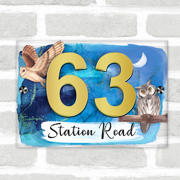 Owl Night Blue Moon 3D Modern Acrylic Door Number House Sign