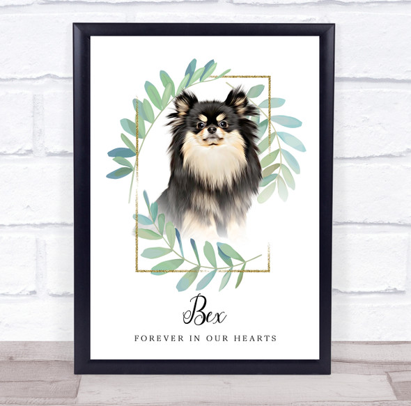 Pomeranian Dark Hair Memorial Forever In Our Hearts Personalised Gift Print