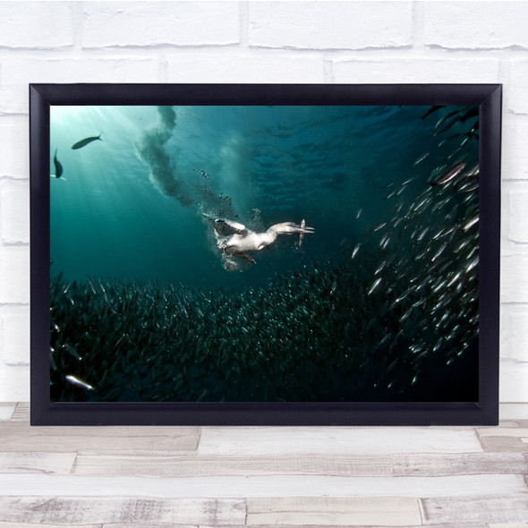 Underwater Fish Catch Hunter Hunting Caught Food Eating Wall Art Print