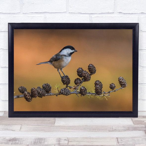 Bird Nature Birds Wildlife Wild Cone Cones Branch Twig Wall Art Print