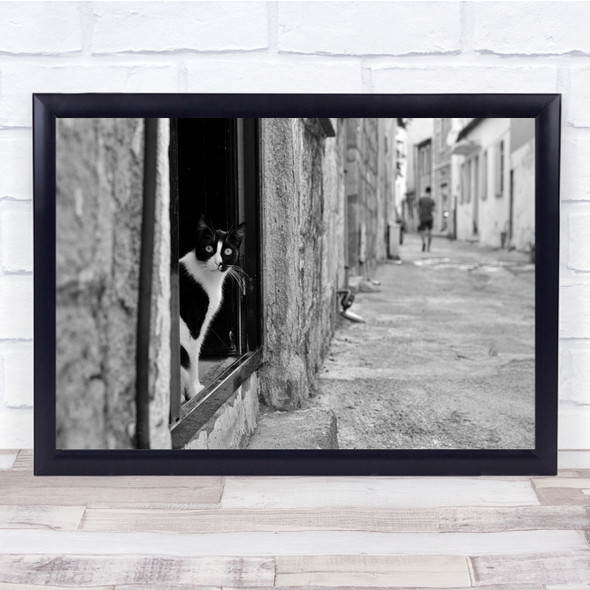 Cats Street Curiosity Surprise Surprised Black & White Wall Art Print