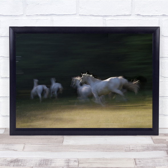 Action Adventure Horses Running Tails Wildlife Africa Wall Art Print