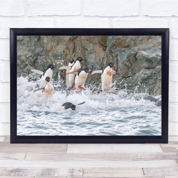 Antarctica Penguin Adelie Run To The Sea jumping lake Wall Art Print