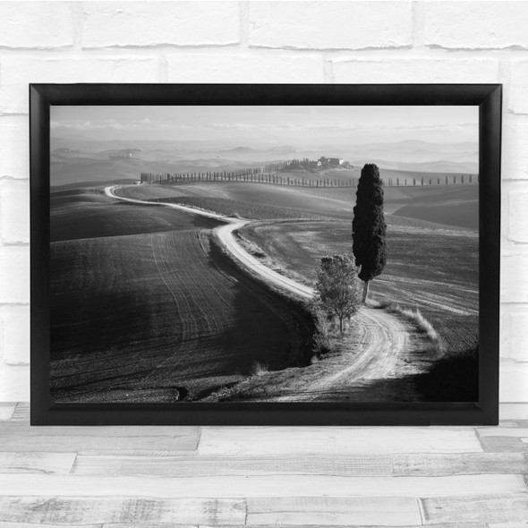 Cypress Tree Landscapes Black & White Black And White Wall Art Print