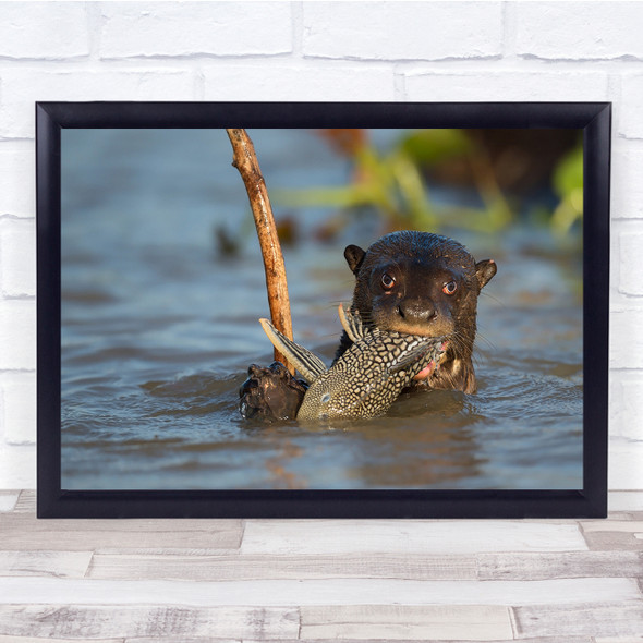 Giant Otter River Catfish Pantanal Brazil Forest fish Wall Art Print