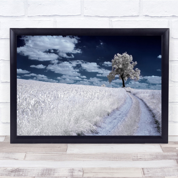 Infrared Landscape Road Tree Lonely Countryside Field Wall Art Print