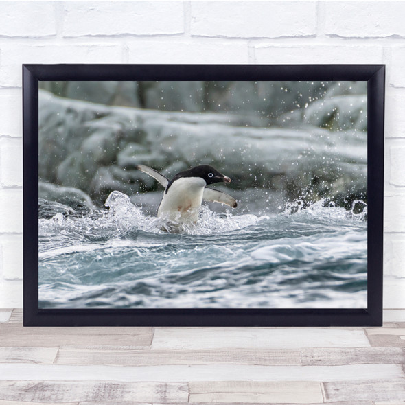 Antarctica Penguin Adelie where Are You jumping lake Wall Art Print