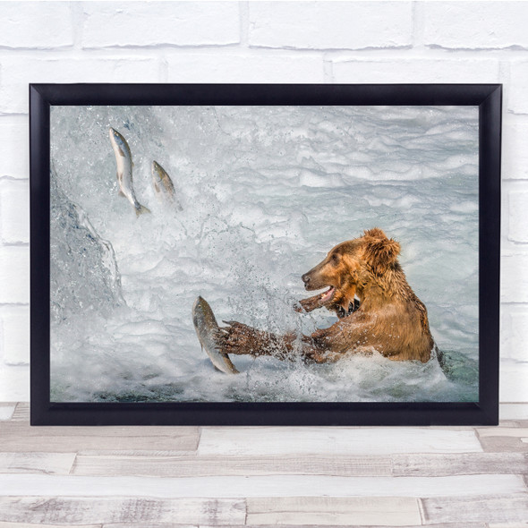 Bears Catch Predator Hunter Salmon Fish River nature Wall Art Print