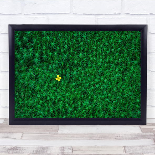 Field of green flowers yellow petals abstract Colour Wall Art Print