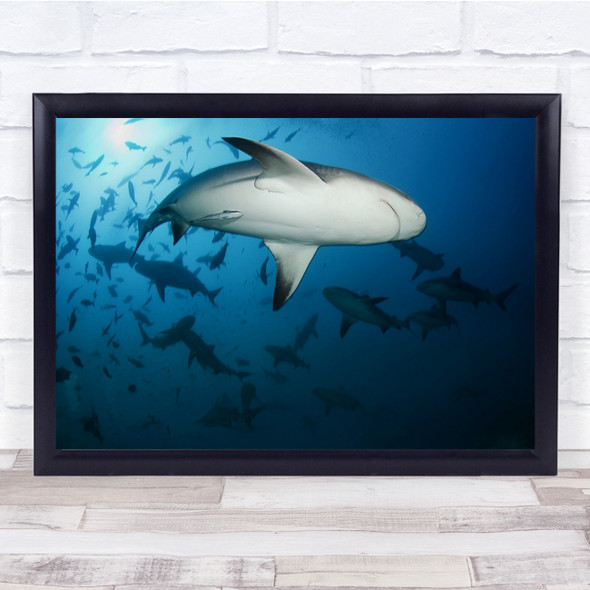 Shark Whirlpool Horde Underwater Blue Deep Wildlife Wall Art Print
