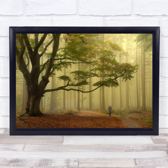 Walking Forest Woods Trees Man Old Landscape nature Wall Art Print