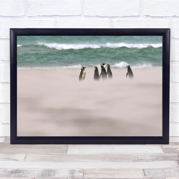 Penguins Falklands Islands There Behind The Clouds Wall Art Print