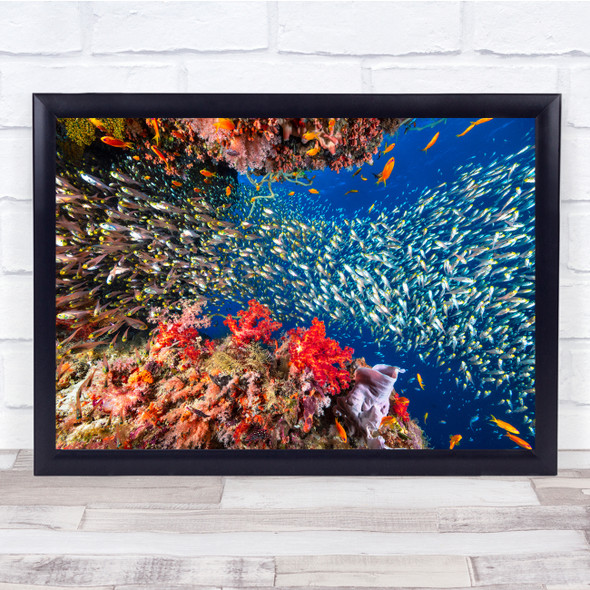 Underwater Fish Sea Ocean Coral Reef Lagoon Colour Wall Art Print