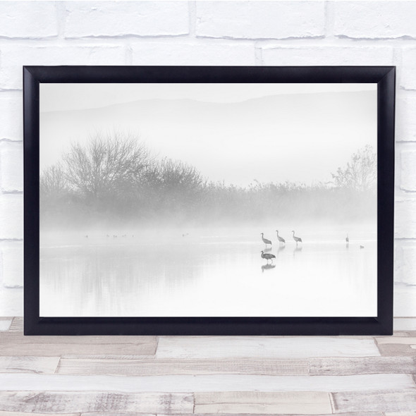 Black & White Birds Lake River Water White Bright Wall Art Print