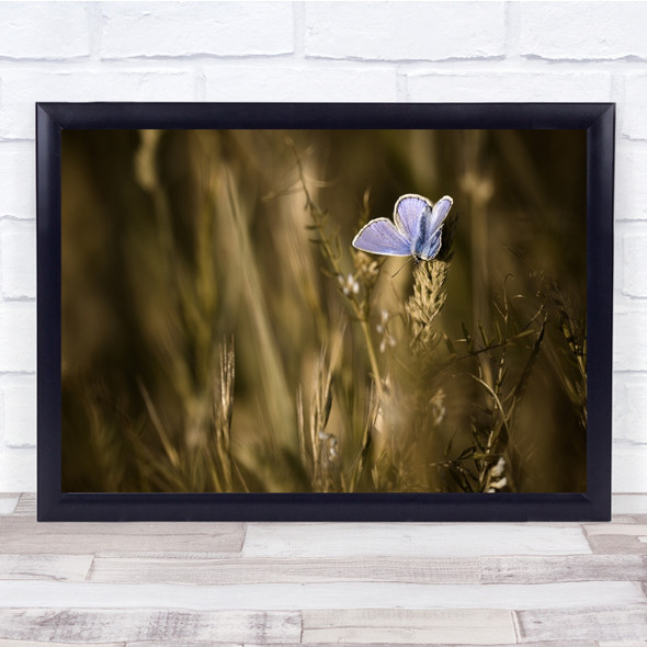 Butterfly Insect Grass Happiness Is In The Meadow Wall Art Print