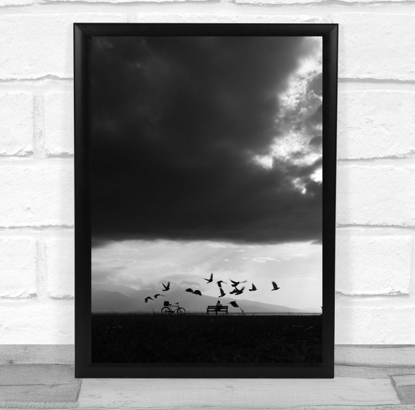 flock of birds black and white man bike and bench Wall Art Print