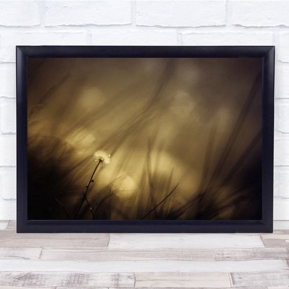 Flower Sepia Monocolour Field Meadow Bokeh Blurry Wall Art Print