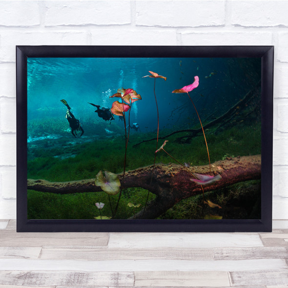 Underwater Diving exploring nature branch Sealife Wall Art Print