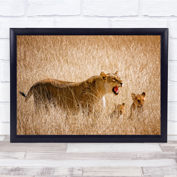 Lion Cubs Wildlife Animal Nature Namibia Lioness Wall Art Print