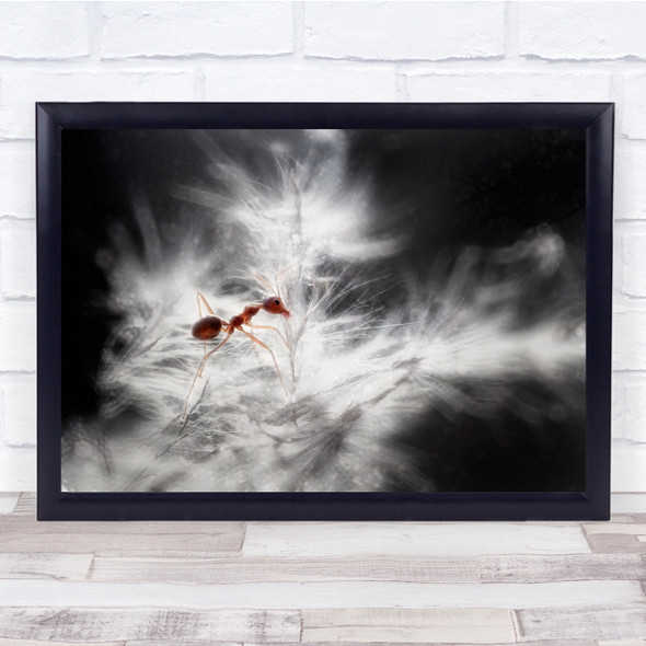 Macro Ant Kalteng Palangkaraya Indonesia Glowing Wall Art Print