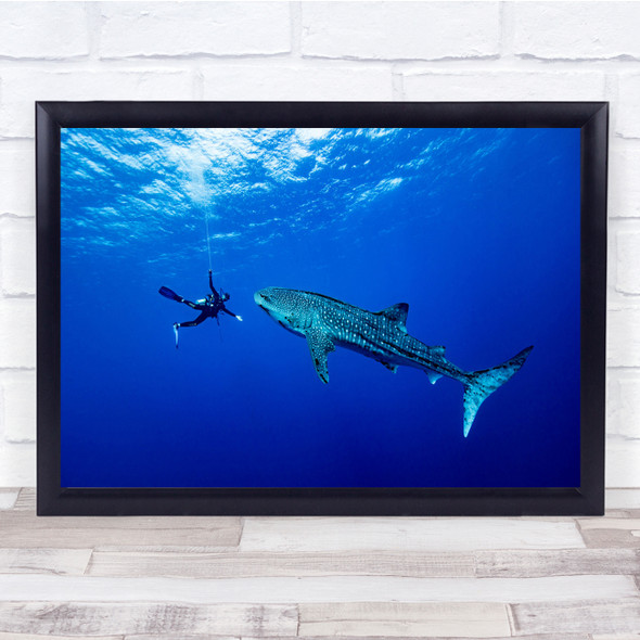 Seascape Whaleshark Underwater Blue Ocean Nature Wall Art Print