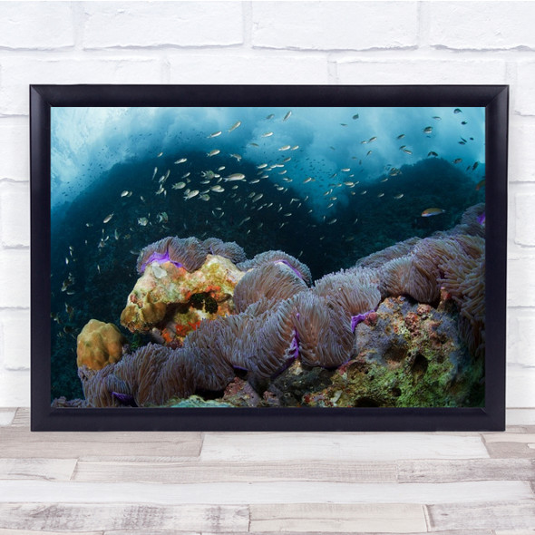 Thailand Reef Sail Rock Coral Underwater Anemone Wall Art Print
