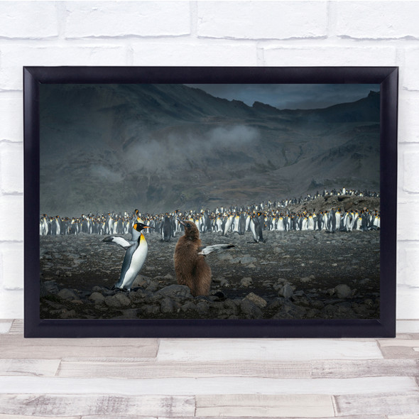 Huddle of Penguins Babys Animal Wildlife Nature Wall Art Print
