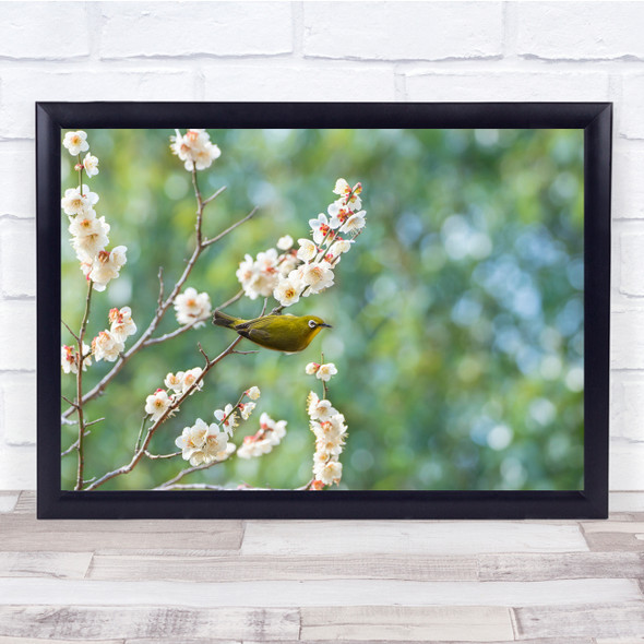 Spring Blossoms Flower Bird Bokeh Branch nature Wall Art Print