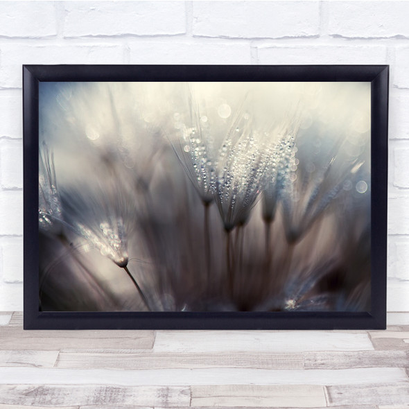 Dandelion Droplet Dew Macro Abstract Seeds Wet Wall Art Print