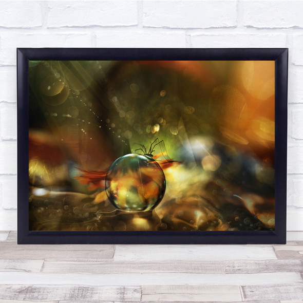 Macro Art Abstract Creative Water Pearl Insect Wall Art Print