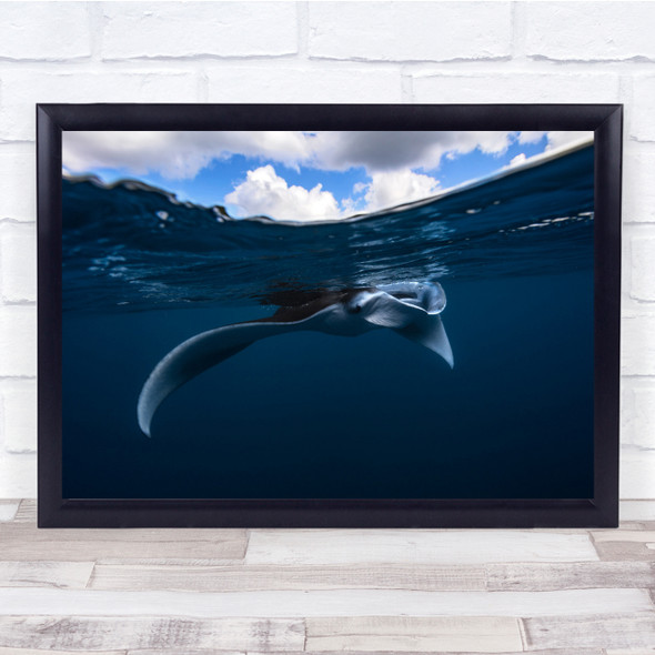 Manta Ray Wildlife Underwater Sea Ocean Lagoon Wall Art Print